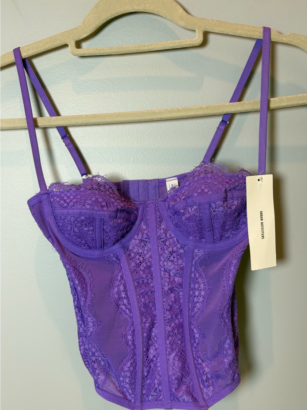 Out From Under Purple Lace Corset Bustier Top S NWT $59